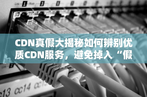 CDN真假大揭秘如何辨别优质CDN服务，避免掉入“假CDN”陷阱？