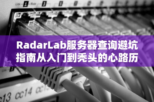 RadarLab服务器查询避坑指南从入门到秃头的心路历程（附程序员防脱发秘籍）