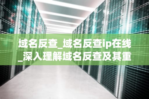 域名反查_域名反查ip在线_深入理解域名反查及其重要性