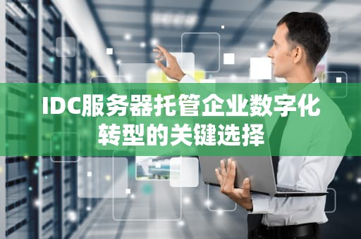 IDC服务器托管企业数字化转型的关键选择