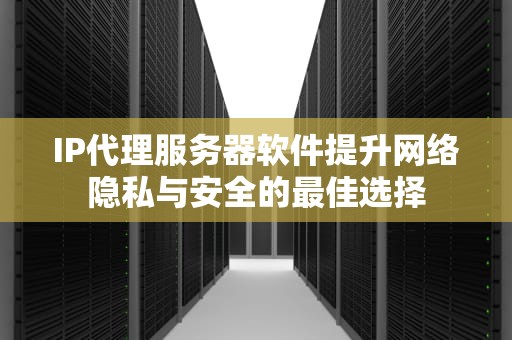 IP代理服务器软件提升网络隐私与安全的最佳选择