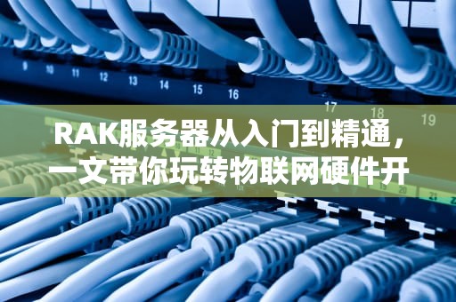RAK服务器从入门到精通，一文带你玩转物联网硬件开发