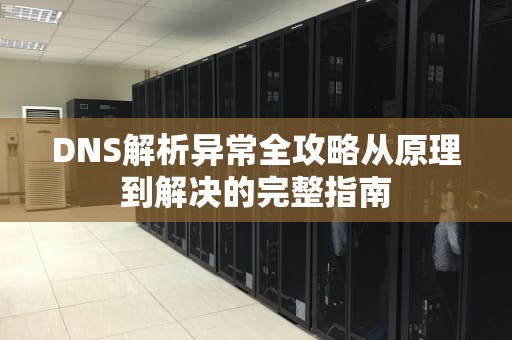 DNS解析异常全攻略从原理到解决的完整指南