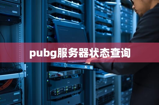 pubg服务器状态查询