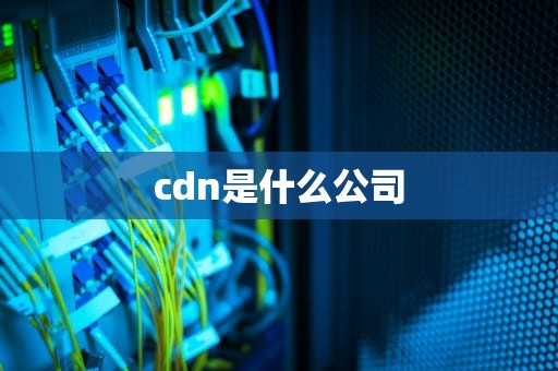 cdn是什么公司