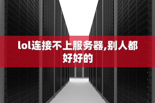 lol连接不上服务器,别人都好好的