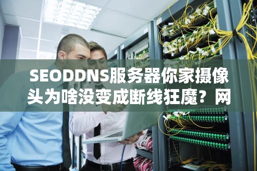 SEODDNS服务器你家摄像头为啥没变成断线狂魔？网络老司机带你飙车