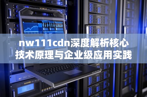 nw111cdn深度解析核心技术原理与企业级应用实践指南