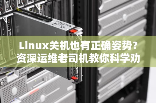 Linux关机也有正确姿势？资深运维老司机教你科学劝退服务器的骚操作