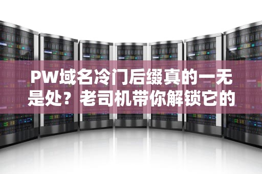 PW域名冷门后缀真的一无是处？老司机带你解锁它的隐藏玩法！