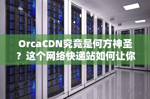 OrcaCDN究竟是何方神圣？这个网络快递站如何让你刷剧不卡顿？
