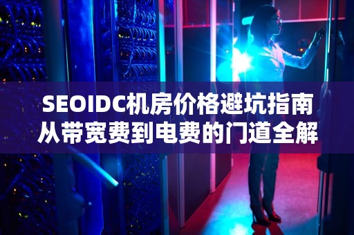 SEOIDC机房价格避坑指南从带宽费到电费的门道全解析（附省钱彩蛋）