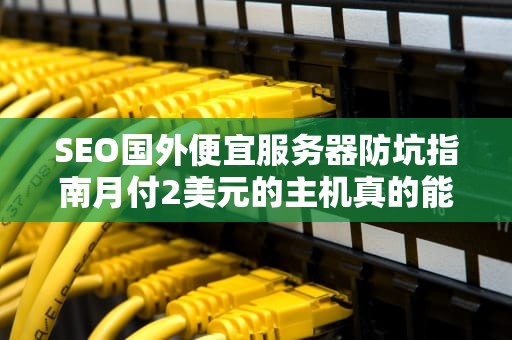 SEO国外便宜服务器防坑指南月付2美元的主机真的能开航母？
