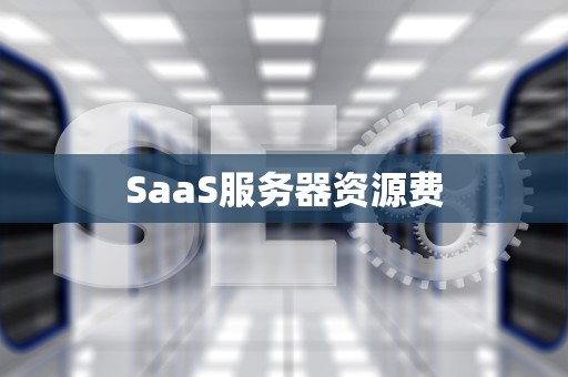 SaaS服务器资源费