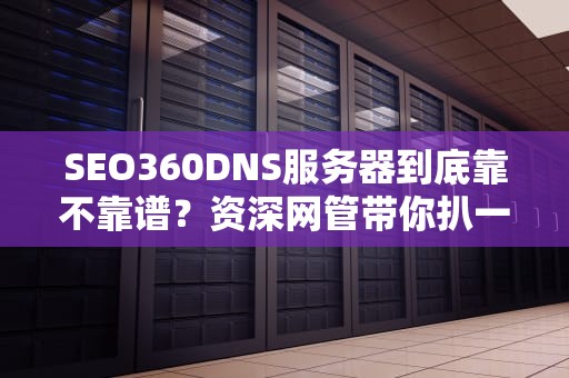 SEO360DNS服务器到底靠不靠谱？资深网管带你扒一扒背后的技术猫腻