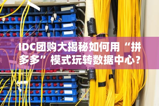 IDC团购大揭秘如何用“拼多多”模式玩转数据中心？