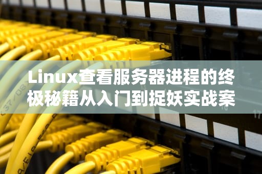 Linux查看服务器进程的终极秘籍从入门到捉妖实战案例