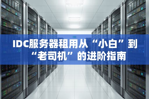 IDC服务器租用从“小白”到“老司机”的进阶指南