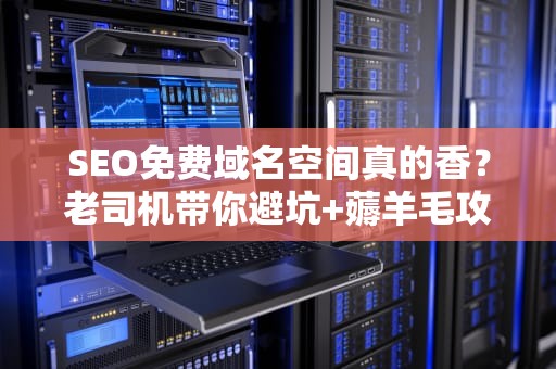 SEO免费域名空间真的香？老司机带你避坑+薅羊毛攻略！