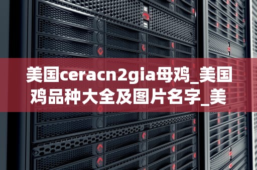 美国ceracn2gia母鸡_美国鸡品种大全及图片名字_美国Ceracn2Gia母鸡的养殖与应用