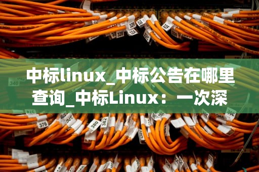 中标linux_中标公告在哪里查询_中标Linux：一次深度探索