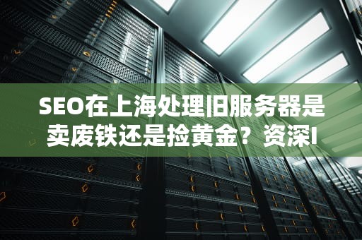 SEO在上海处理旧服务器是卖废铁还是捡黄金？资深IT男带你算笔明白账！