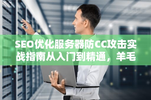 SEO优化服务器防CC攻击实战指南从入门到精通，羊毛党看了直呼内行！