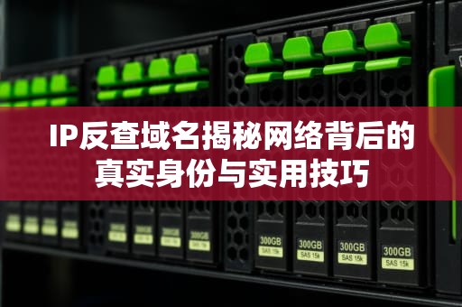 IP反查域名揭秘网络背后的真实身份与实用技巧