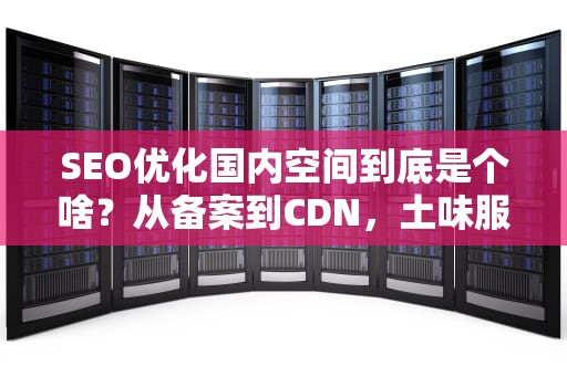 SEO优化国内空间到底是个啥？从备案到CDN，土味服务器生存指南来了！