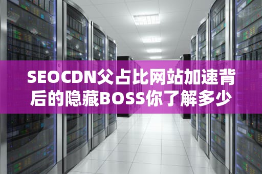 SEOCDN父占比网站加速背后的隐藏BOSS你了解多少？这波操作让你直呼内行！
