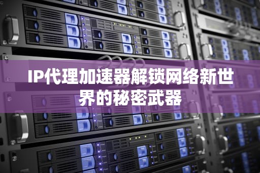 IP代理加速器解锁网络新世界的秘密武器