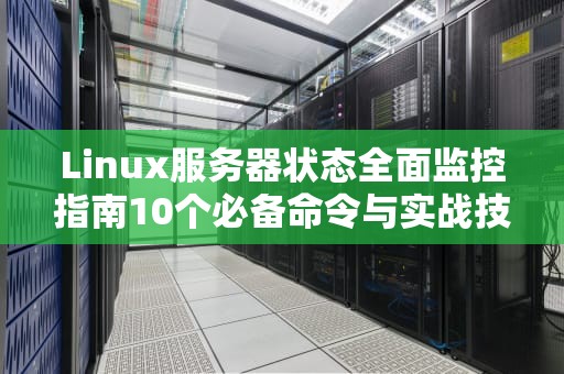 Linux服务器状态全面监控指南10个必备命令与实战技巧