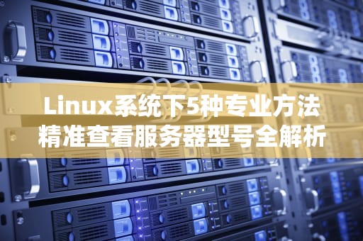 Linux系统下5种专业方法精准查看服务器型号全解析