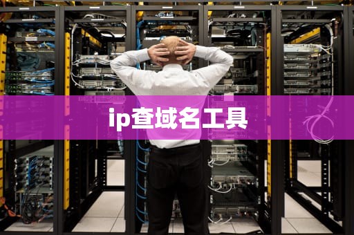 ip查域名工具