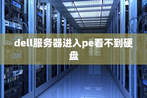 dell服务器进入pe看不到硬盘