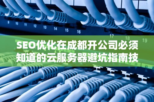 SEO优化在成都开公司必须知道的云服务器避坑指南技术老炮儿教你用算力吃火锅