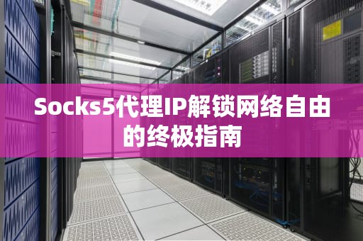 Socks5代理IP解锁网络自由的终极指南