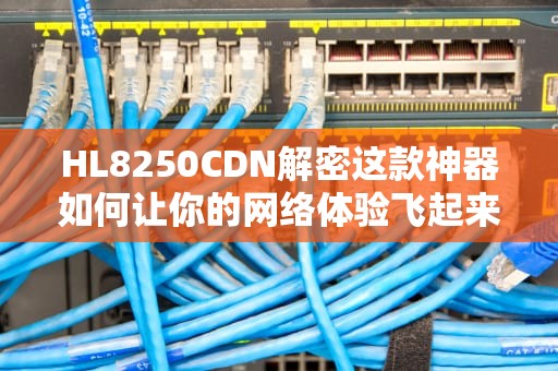 HL8250CDN解密这款神器如何让你的网络体验飞起来！