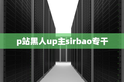 p站黑人up主sirbao专干
