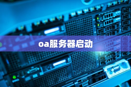 oa服务器启动