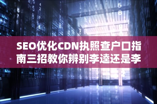 SEO优化CDN执照查户口指南三招教你辨别李逵还是李鬼，老司机都收藏的避坑手册