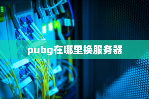 pubg在哪里换服务器
