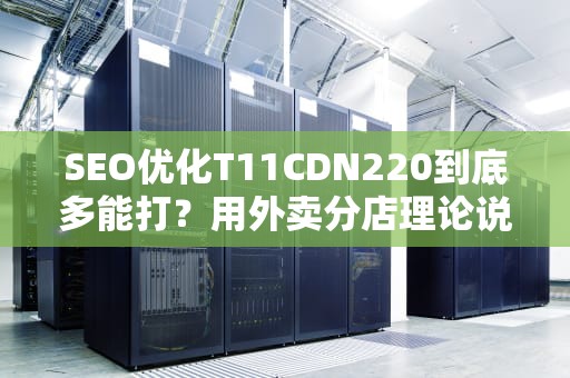 SEO优化T11CDN220到底多能打？用外卖分店理论说透新一代内容分发黑科技