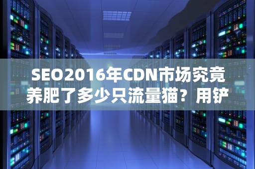 SEO2016年CDN市场究竟养肥了多少只流量猫？用铲屎官思维拆解内容分发的千亿江湖