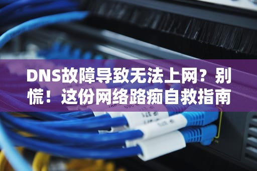 DNS故障导致无法上网？别慌！这份网络路痴自救指南让你秒变老司机