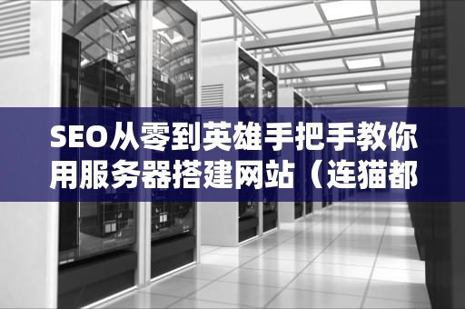 SEO从零到英雄手把手教你用服务器搭建网站（连猫都能学会的保姆级教程）