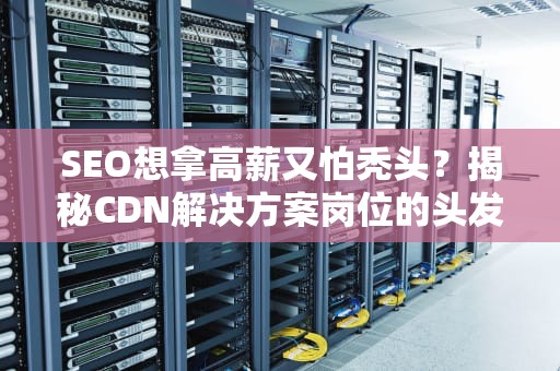 SEO想拿高薪又怕秃头？揭秘CDN解决方案岗位的头发友好型职场真相！