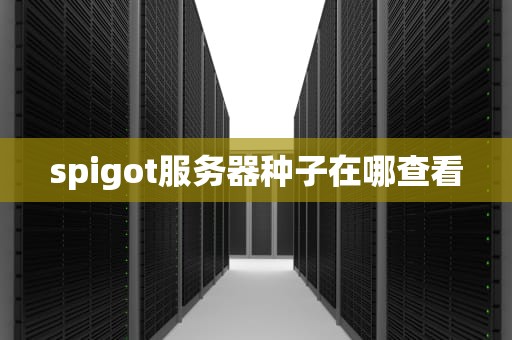 spigot服务器种子在哪查看