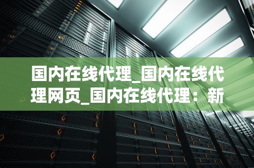 国内在线代理_国内在线代理网页_国内在线代理：新时代的互联网解决方案