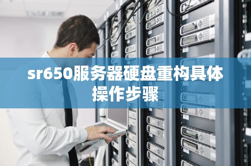 sr650服务器硬盘重构具体操作步骤